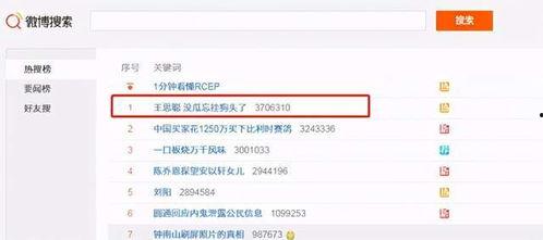 吃网红瓜的网址,探寻网络热点背后的真相与秘密  第2张