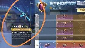 cfs3赏金令最新爆料,神秘势力崛起，赏金猎人风云再起！  第3张